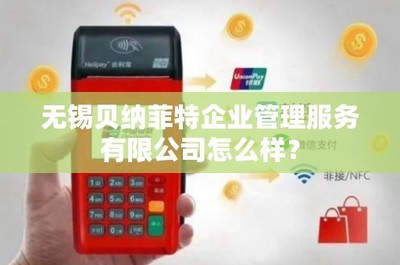 無錫貝納菲特企業(yè)管理服務(wù)票務(wù)代理業(yè)務(wù)評價與分析