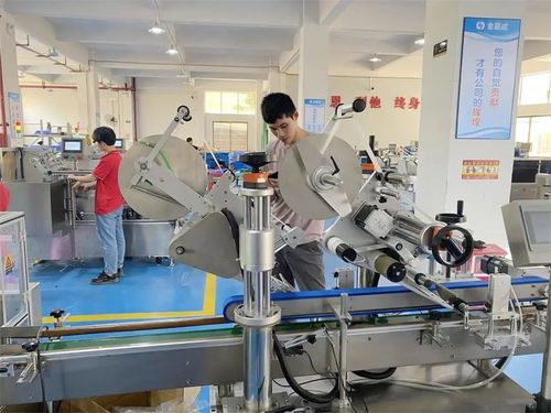 金嘉成工廠 邁向碳達(dá)峰與碳中和的節(jié)能減排實(shí)踐與技術(shù)咨詢